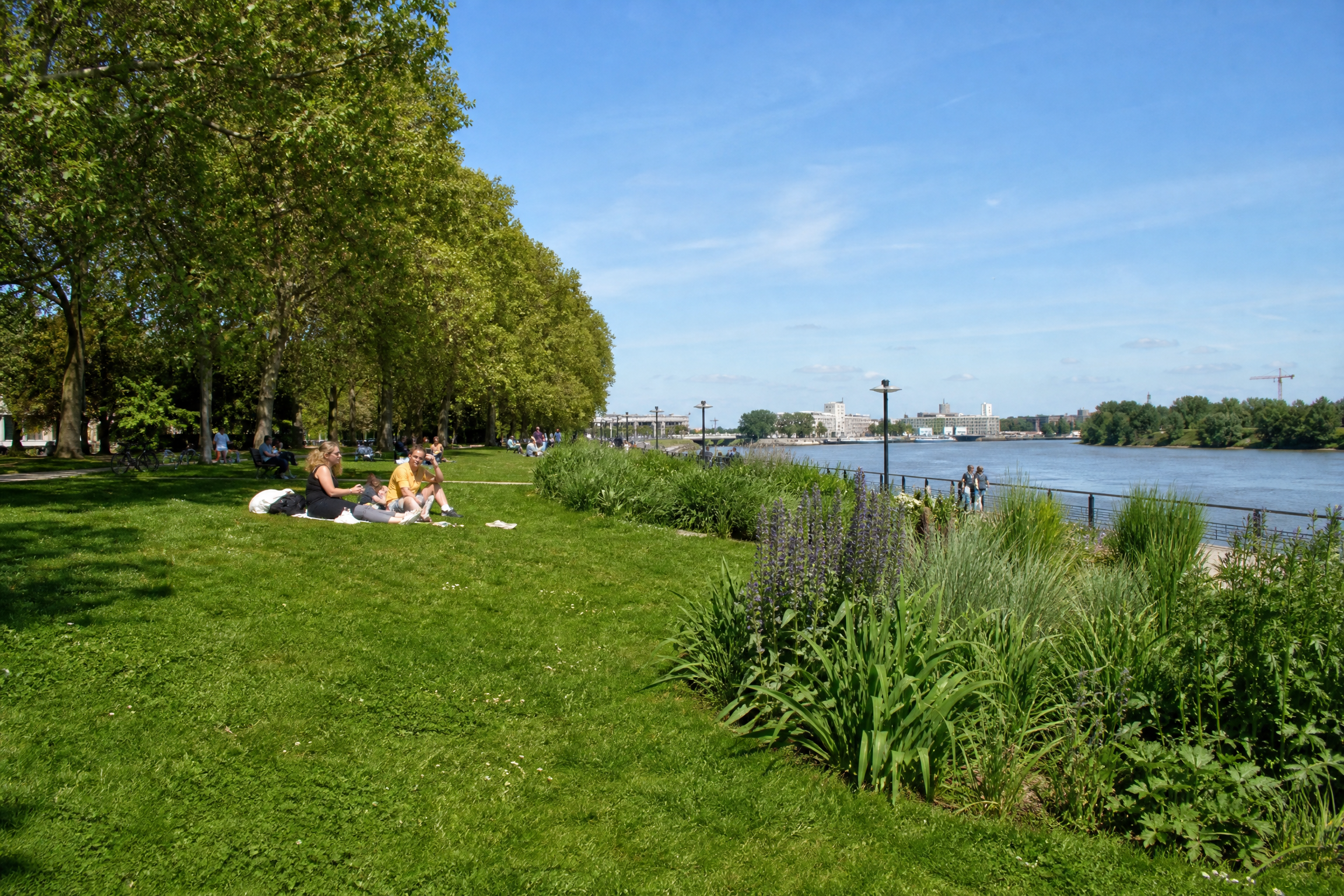 Parc de Bègles pour une rencontre senior
