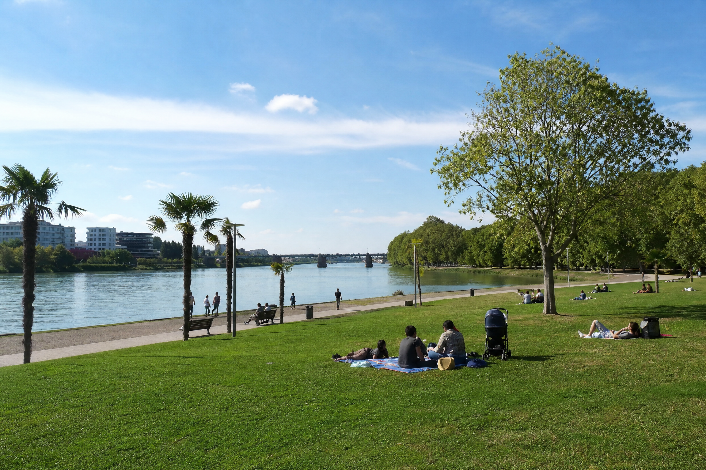Parc de Blagnac pour une rencontre senior