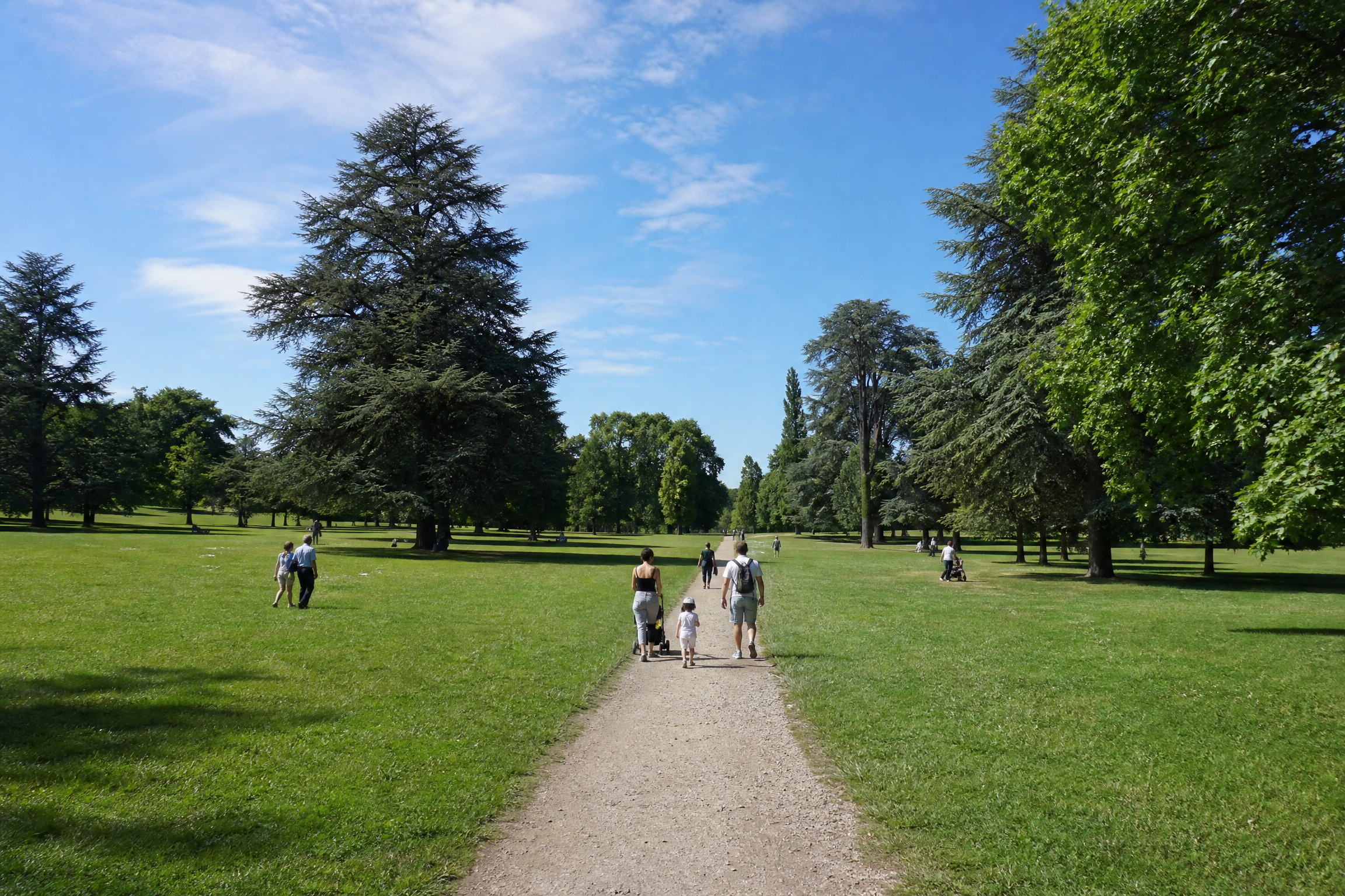 Parc de Parilly à Bron pour une rencontre senior