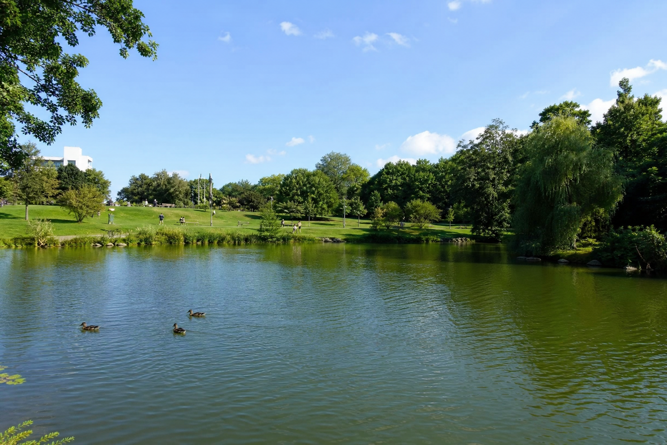 Parc d'Orvault pour une rencontre senior