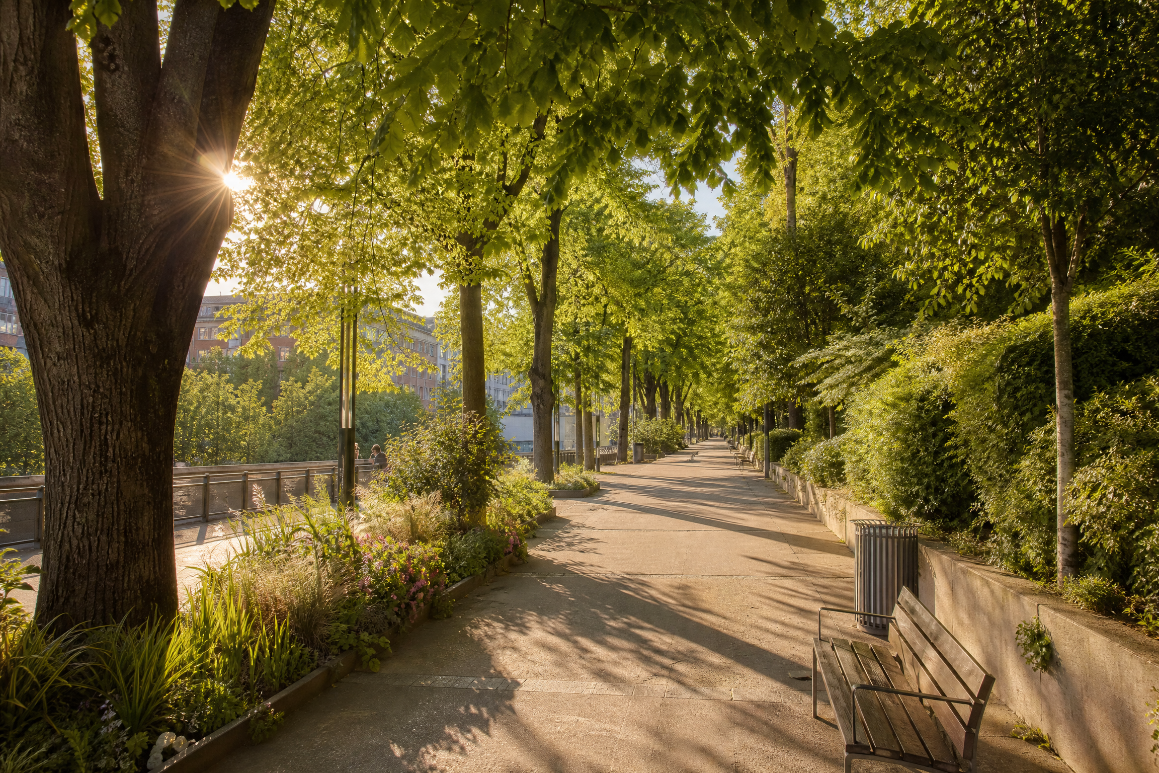 Musée d'Art Moderne de Saint-Étienne, lieu de promenade pour une rencontre senior