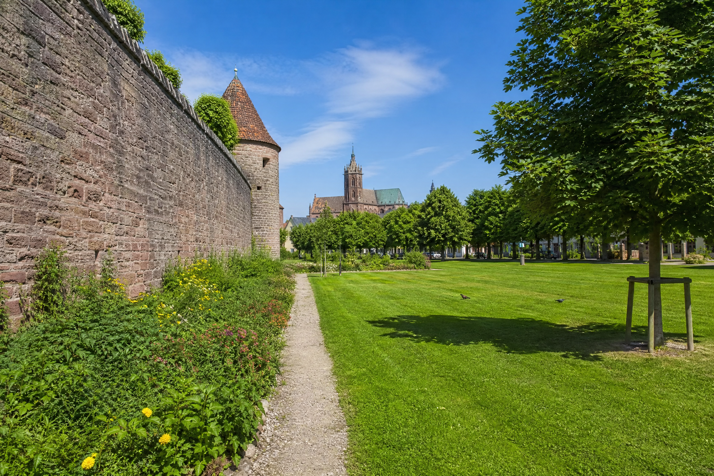 Remparts de Sélestat pour une rencontre senior
