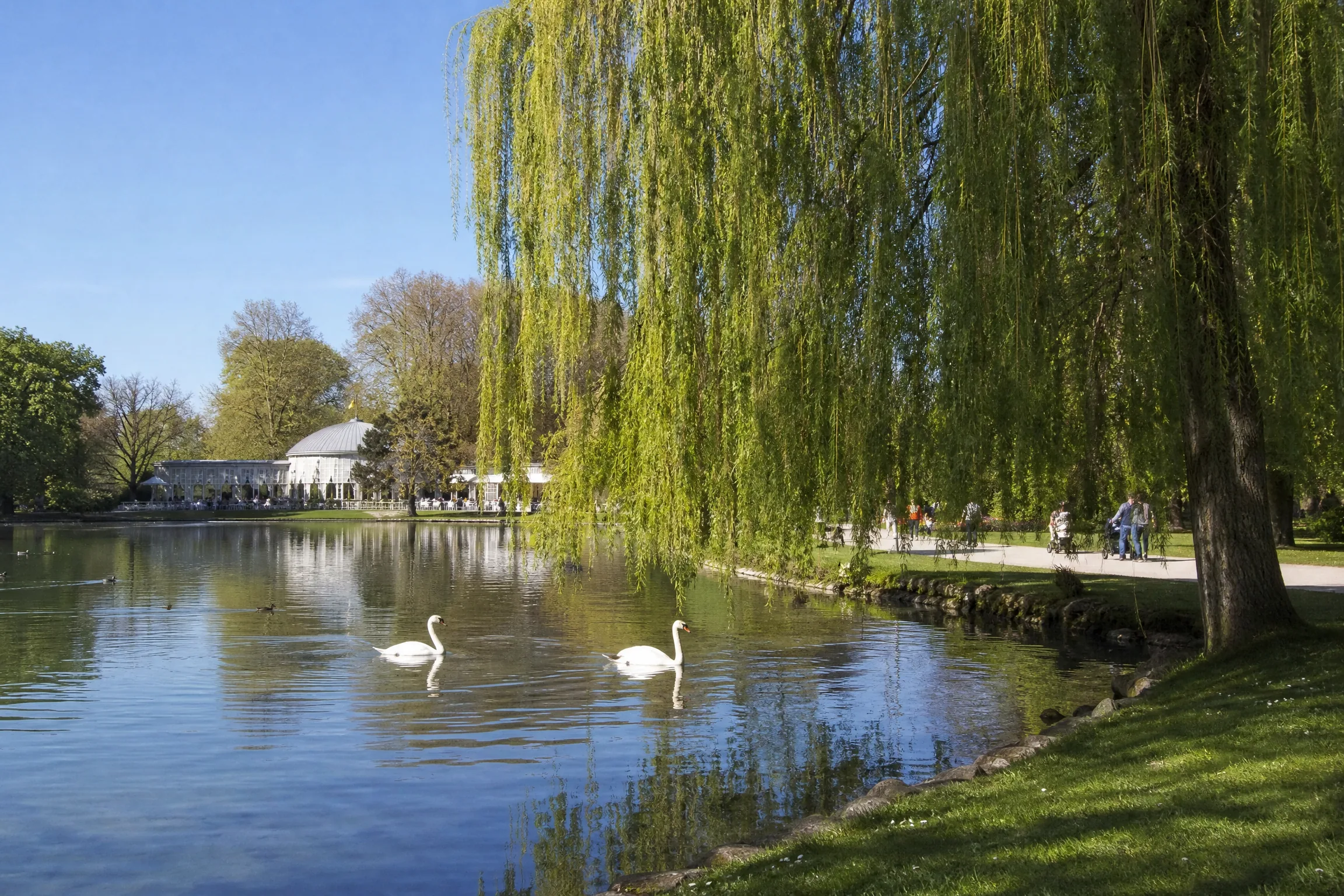 Parc de l'Orangerie à Strasbourg pour une rencontre senior