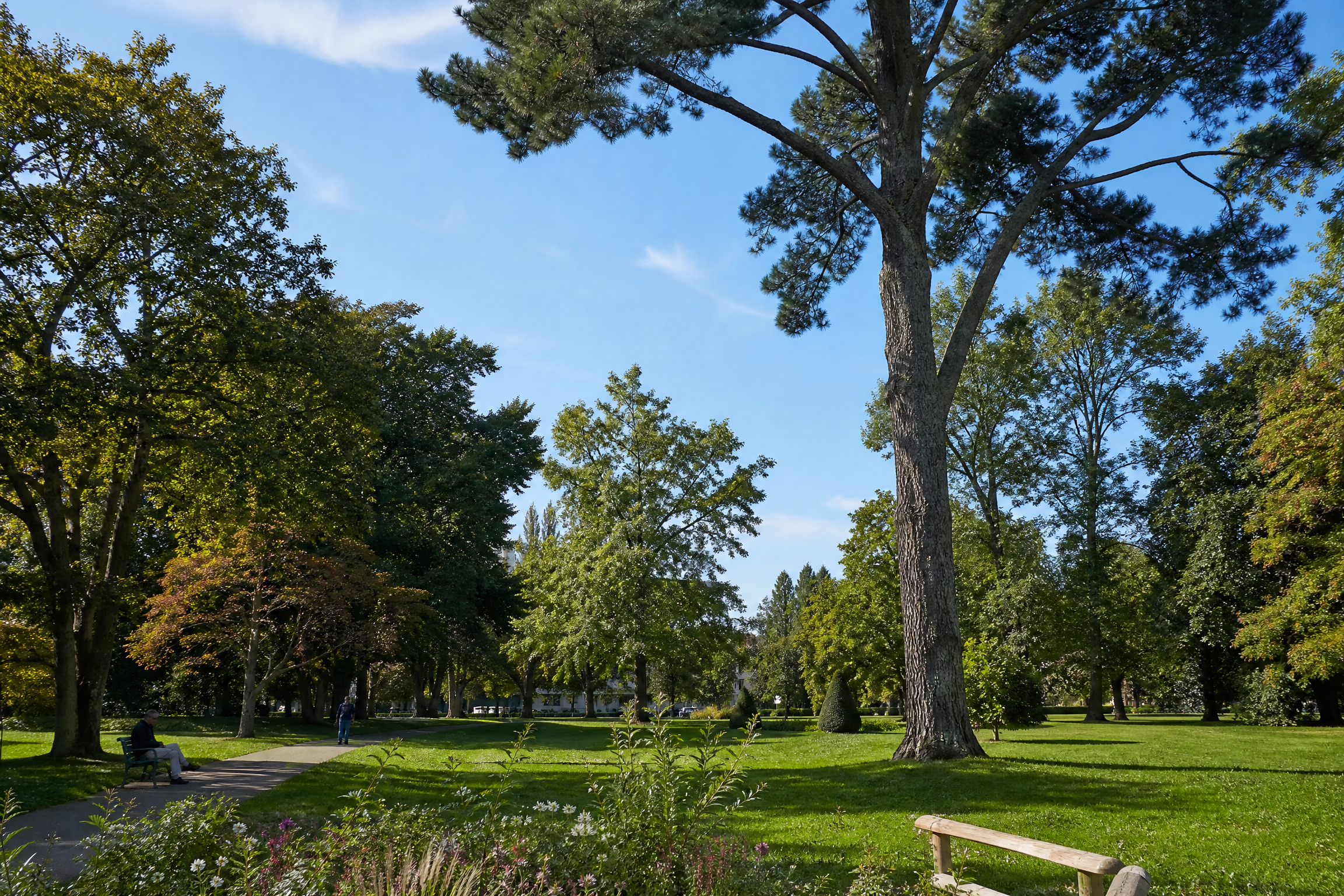 Parc de Talence pour une rencontre senior