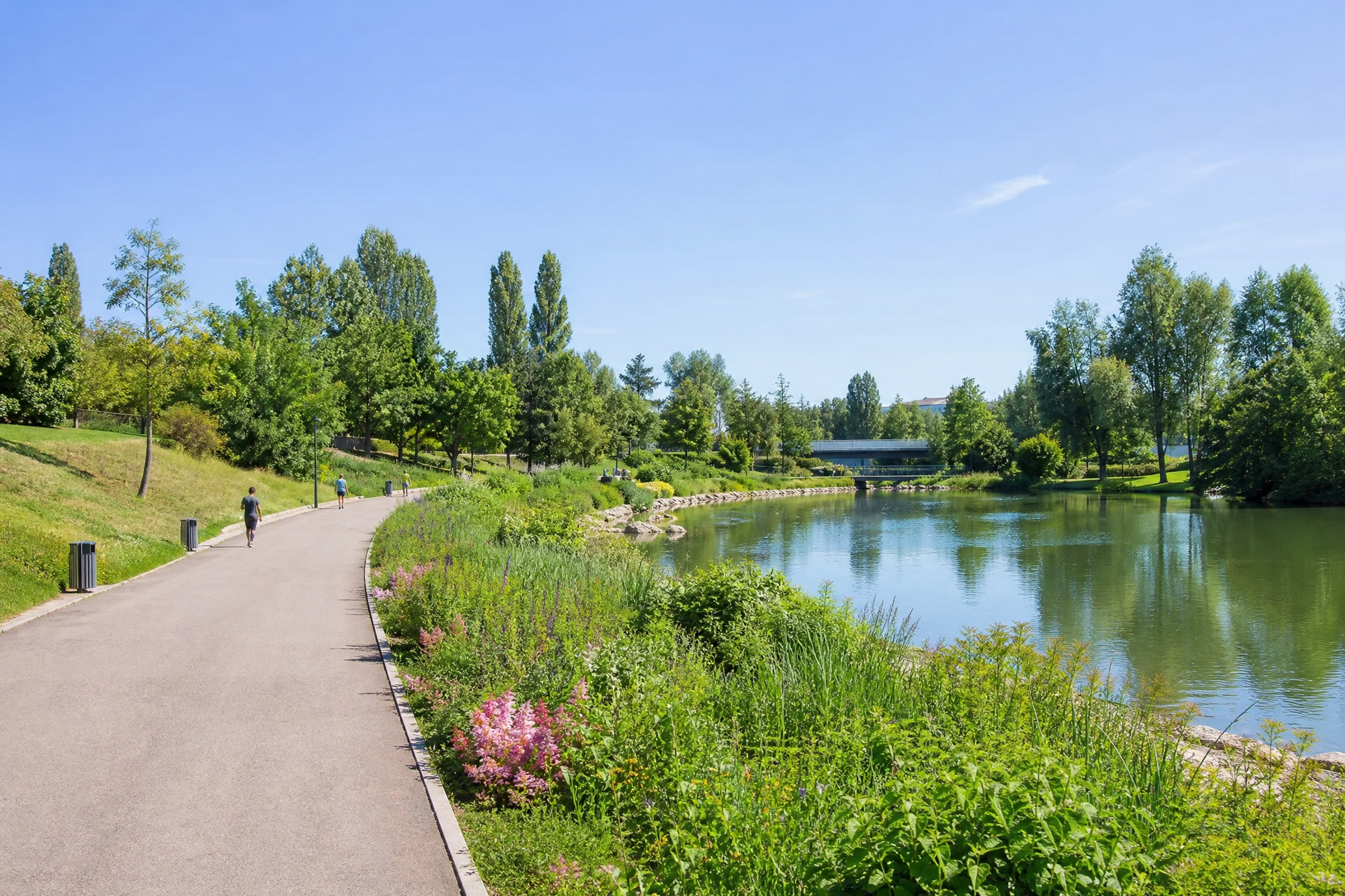 Parc de Vaulx-en-Velin pour une rencontre senior